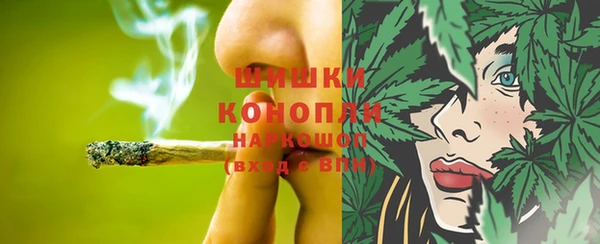 гидра Алексеевка