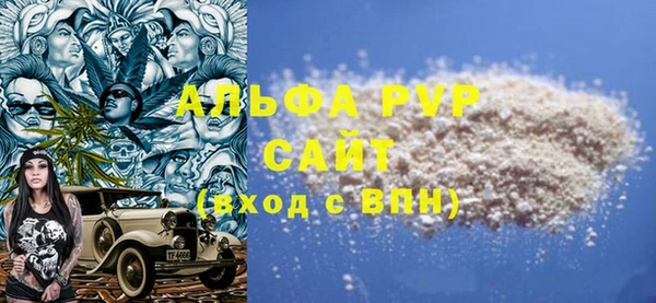 стаф Алексин