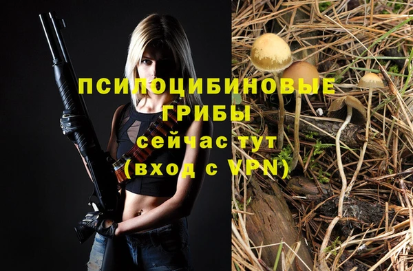 гидра Алексеевка