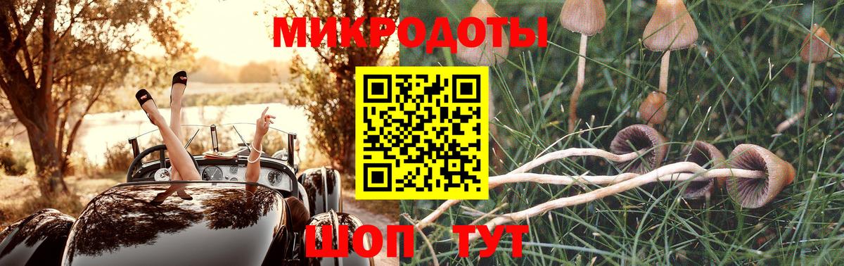 Похвистнево  Псилоцибиновые грибы Magic Shrooms  Вход с VPN 